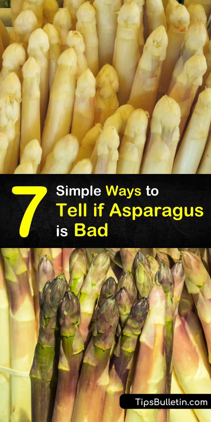 7 Simple Ways to Tell if Asparagus is Bad