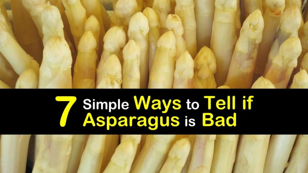 How to Tell if Asparagus is Bad titleimg1