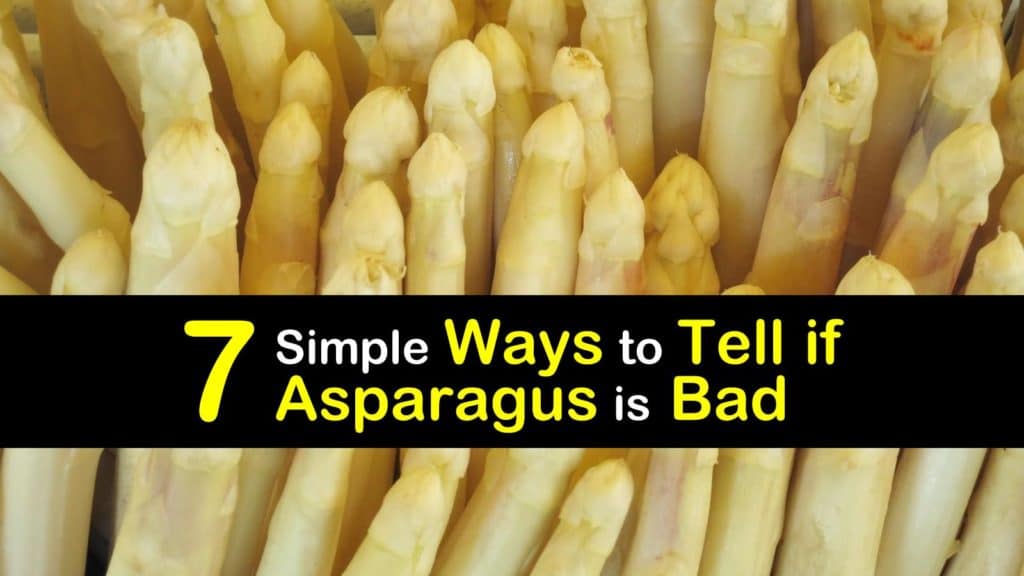 How to Tell if Asparagus is Bad titleimg1