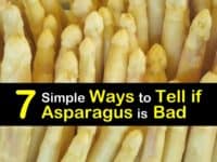 How to Tell if Asparagus is Bad titleimg1