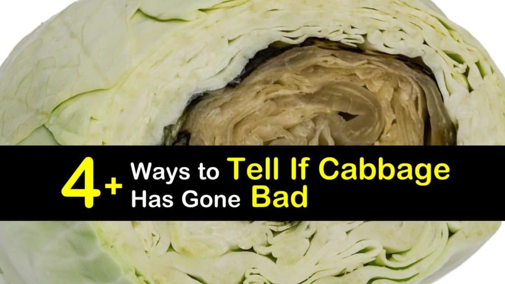 How to Tell if Cabbage is Bad