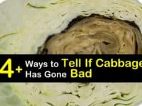 How to Tell if Cabbage is Bad titleimg1