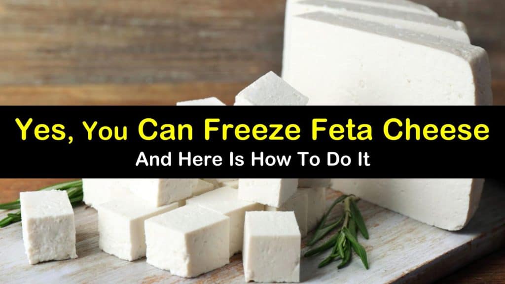 can you freeze feta cheese titleimg1