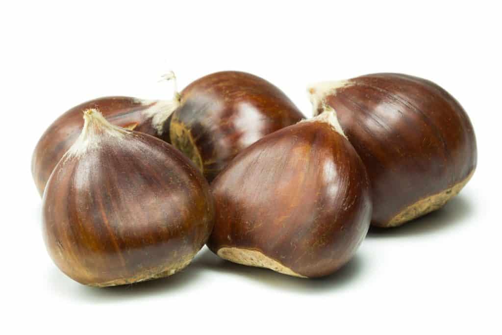 chestnuts