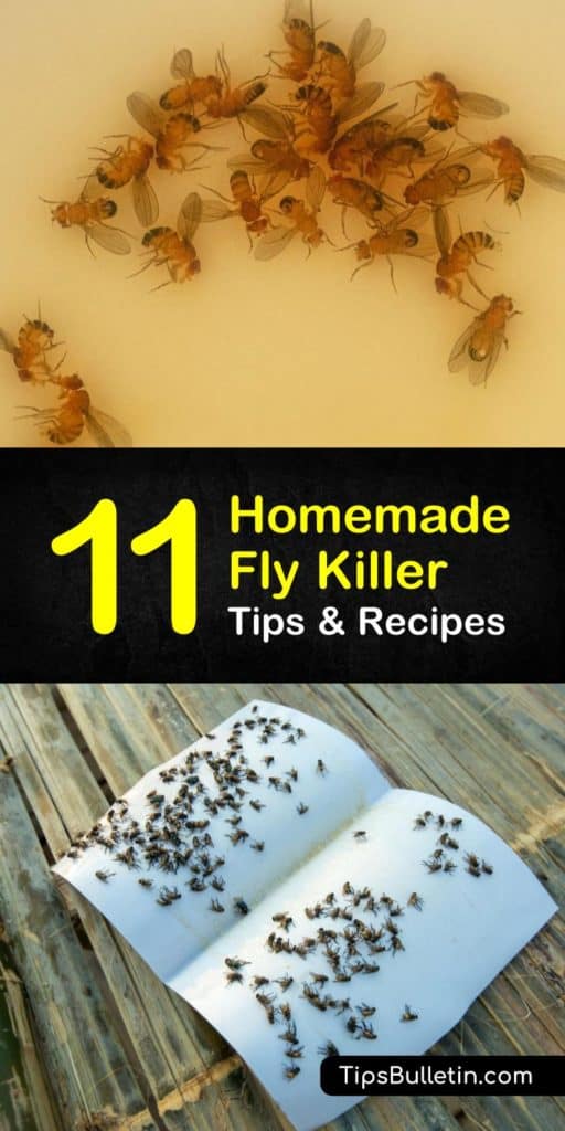 Useful Tips To Make Your Everyday Life Just A Bit Better! Tips and tricks for a homemade fly killer. Learn how to make fruit flies go away forever, and other DIY indoor pest control sprays using essential oils, apple cider, water, and other natural ingredients. #flies #pestcontrol