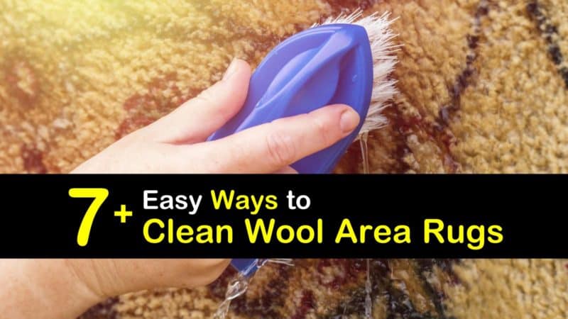 can you use a carpet cleaner on a wool rug