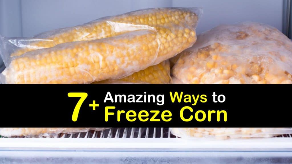 How to Freeze Corn titleimg1