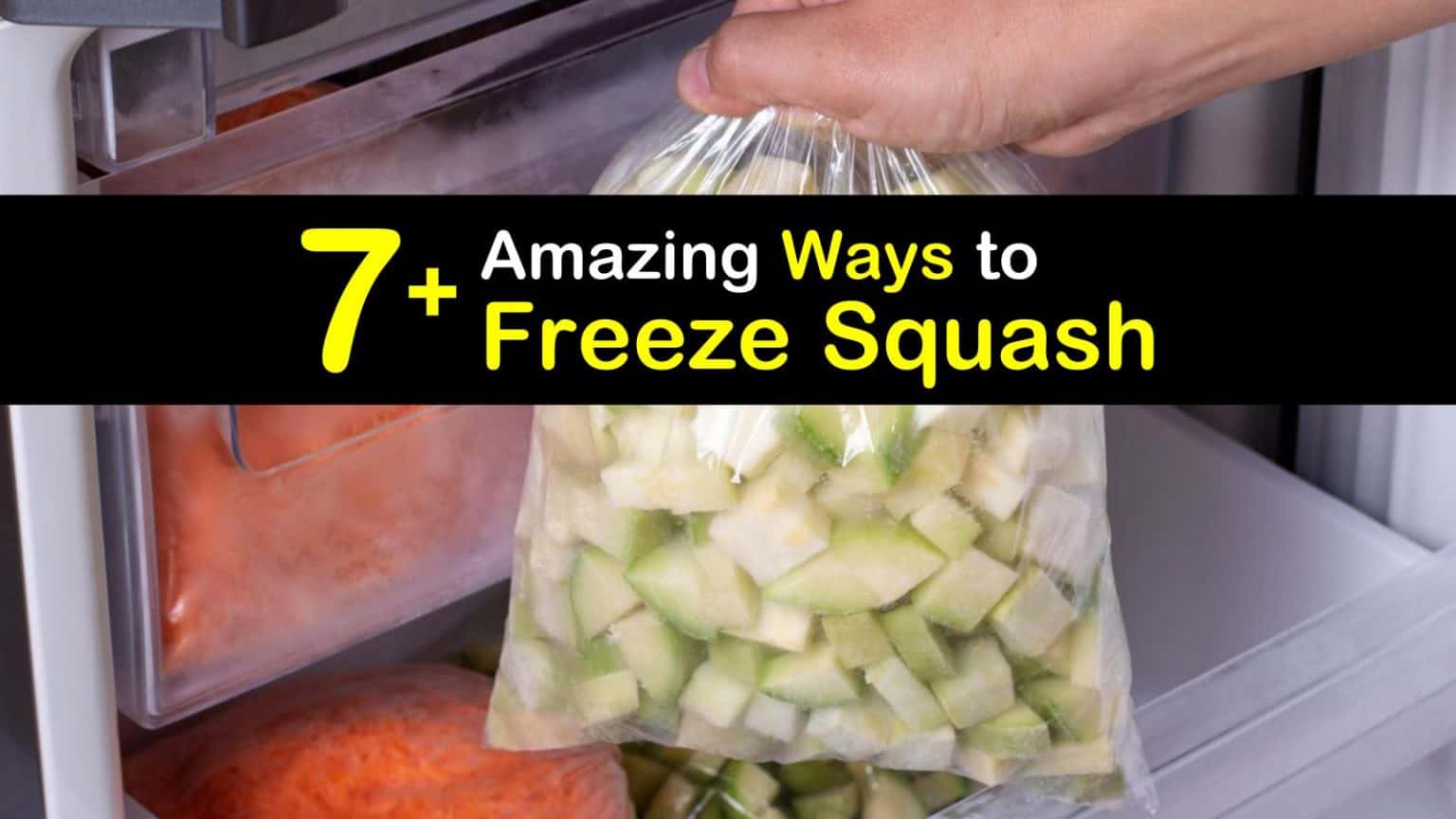 7+ Amazing Ways to Freeze Squash