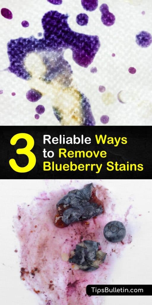 Find out how to remove blueberry stains from clothes, upholstery, and carpet. Learn how to get blueberry stains out of delicate clothes with a simple homemade cleaner recipe using white vinegar, rubbing alcohol. With tips to get carpets clean again. #stains #remove #blueberry #cleaner #carpet