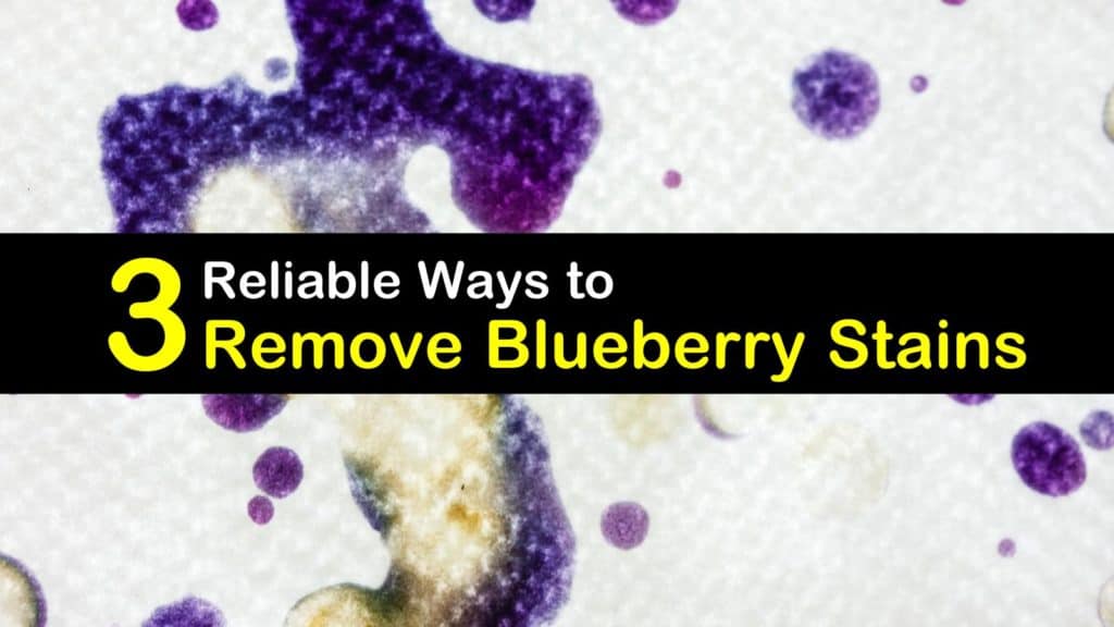 how to remove blueberry stains titleimg1