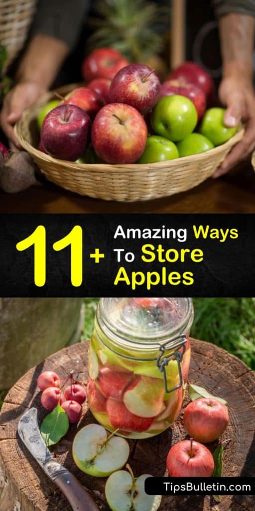 Is there really such a thing as a bad apple? Discover how to make apple pie, applesauce, and other treats from fuji and golden delicious apples, all while learning about long-term storage for bushels brought home from the apple orchard. #howto #store #apples