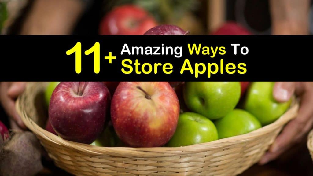 How to Store Apples titleimg1