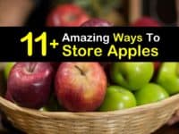 How to Store Apples titleimg1