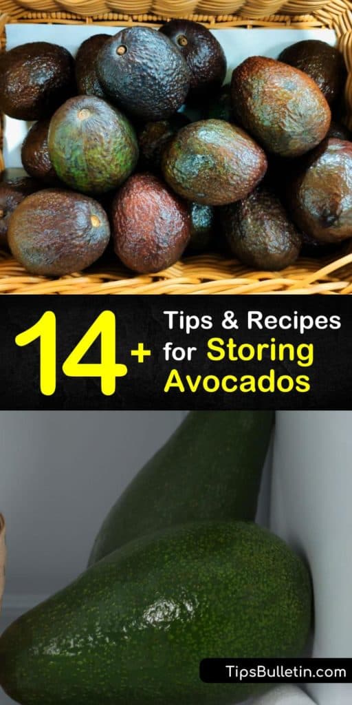 Pretend you’re picking ripe avocados right off the tree with these storage tips using plastic wrap, lemon juice, and lime juice on unripe avocados. Find out how storing avocados at room temperature is the best way to never throw away an avocado again. #howto #store #avocados