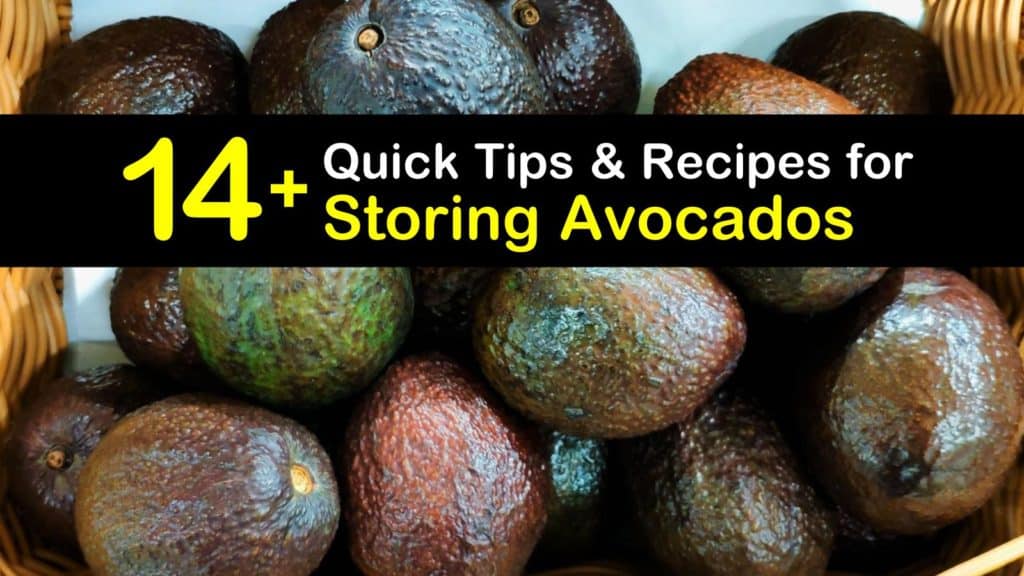 How to Store Avocados titleimg1