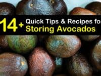 How to Store Avocados titleimg1