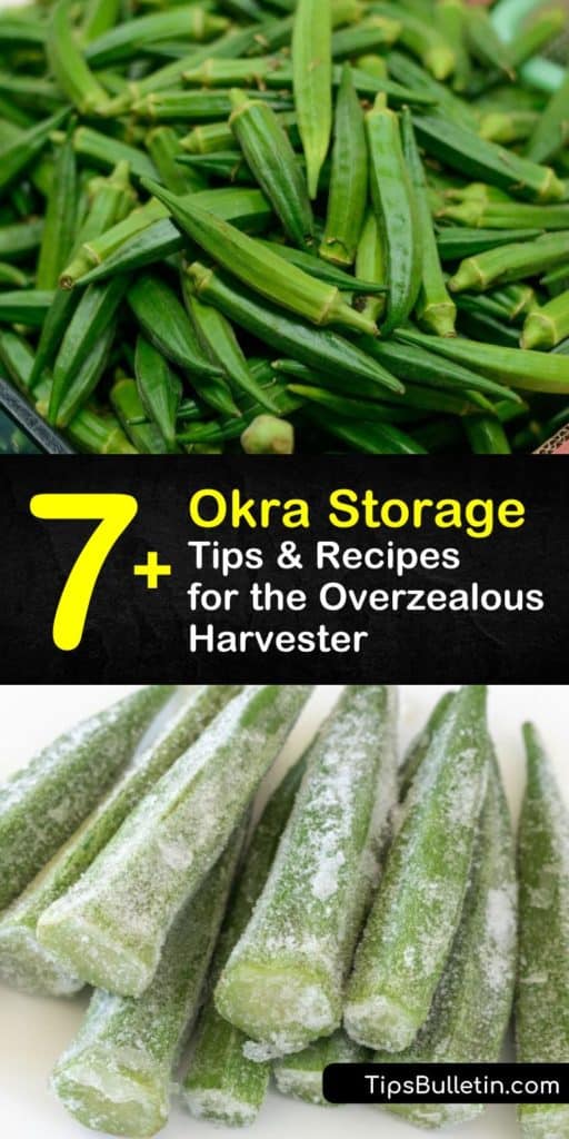 Learn how to store fresh okra for short and long term. Store okra in the fridge in a paper bag to prevent it from getting slimy, freeze okra by blanching in boiling water and storing in freezer bags, or turn your okra into pickles. #howtostoreokra #storingokra #okra
