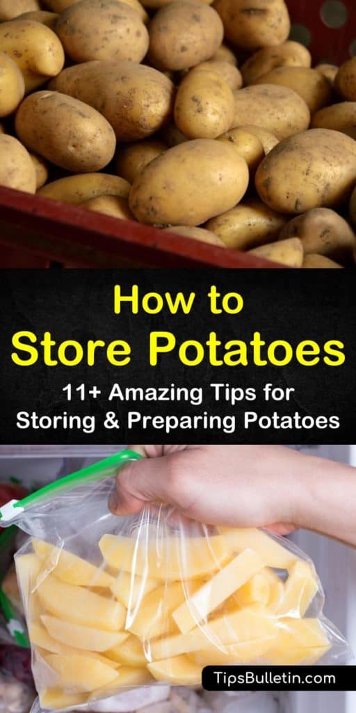 Grow potatoes at home and store them short term in the fridge or long term in the root cellar. Learn in pantry storage techniques as well as potato canning and dehydrating methods and recipes. #potatostorage #storingpotatoes #potatoes