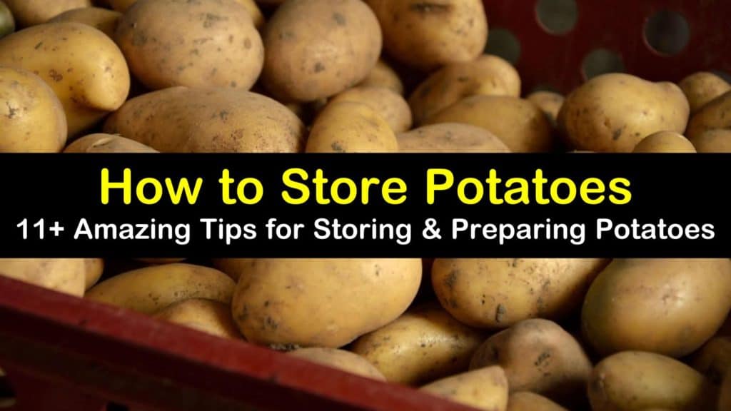 how to store potatoes titleimg1