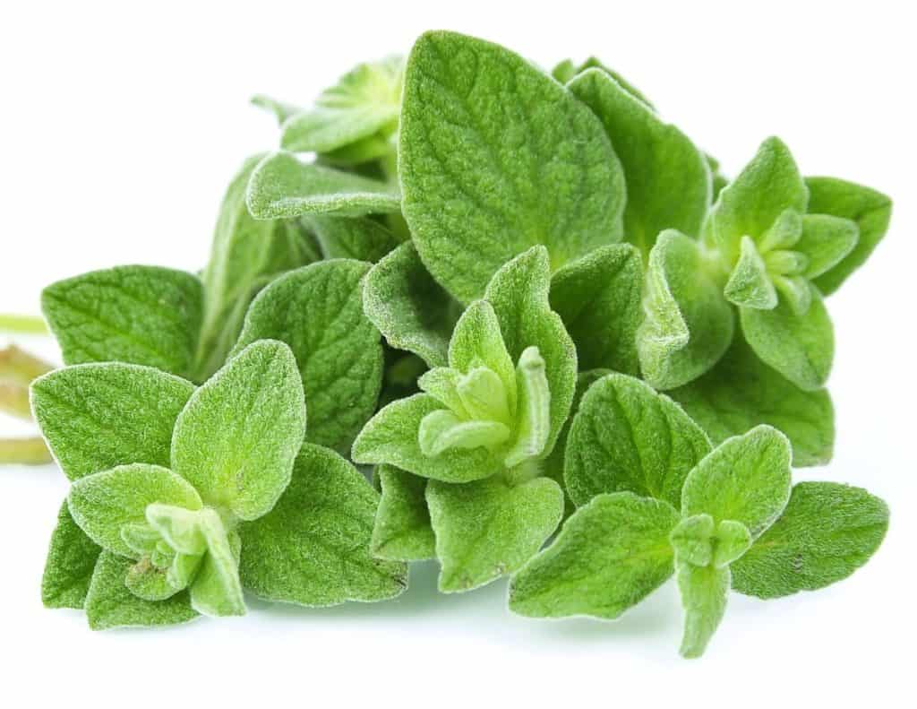 Oregano oil can help get rid of skin tags.