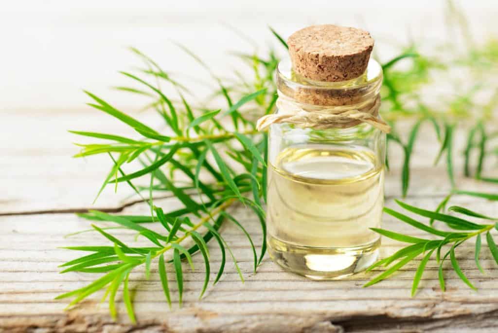 Tea tree oil reduces the size of cold sores up to 50%.