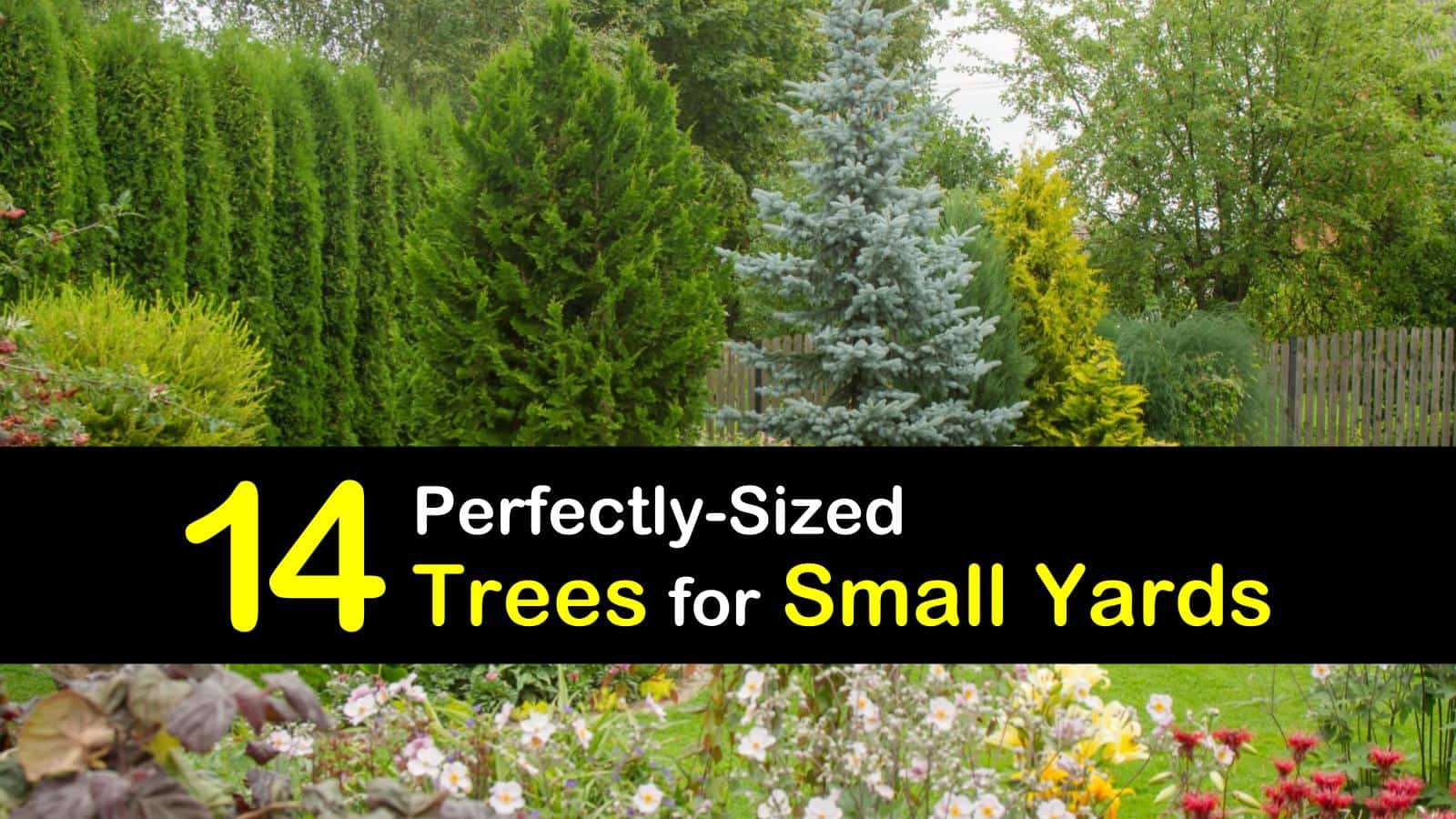 14 PerfectlySized Trees for Small Yards