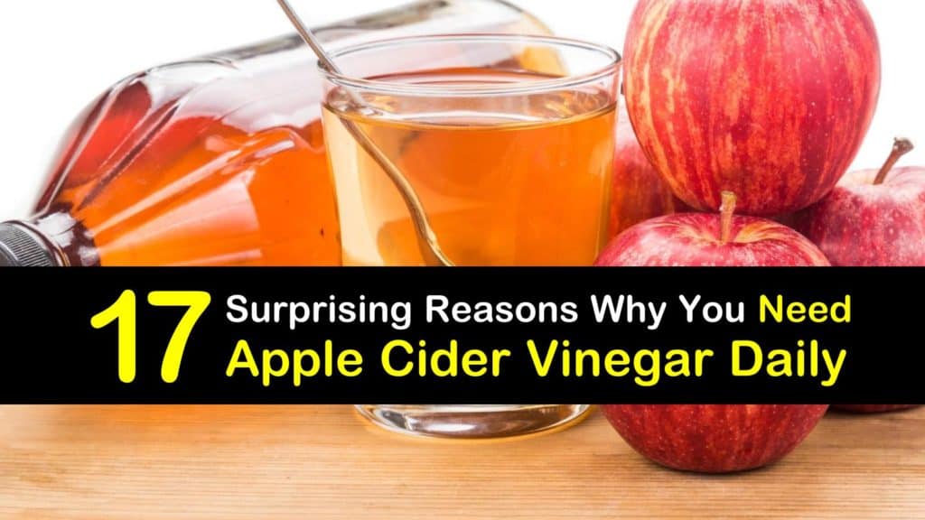 use apple cider vinegar every day titleimg1