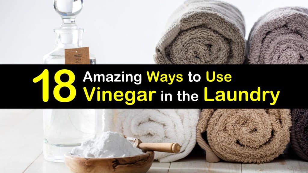 using vinegar in laundry titleimg1
