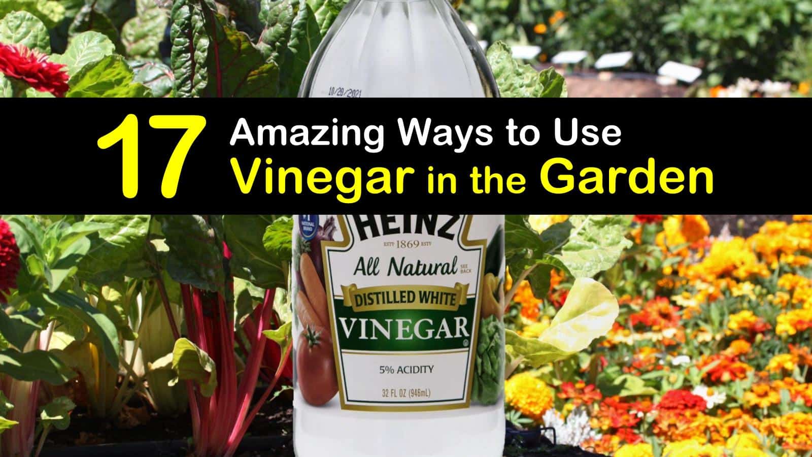 17 Amazing Ways to Use Vinegar in the Garden
