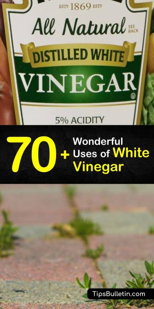 Over 70 uses and benefits of white vinegar - including using vinegar for health and beauty(acne, skin), home cleaning and cooking. As well as for plants and in the garden to repel ants and spiders, kill the weed in pathways and make flowers bloom again. #vinegar #cleaner #cleaning #plants