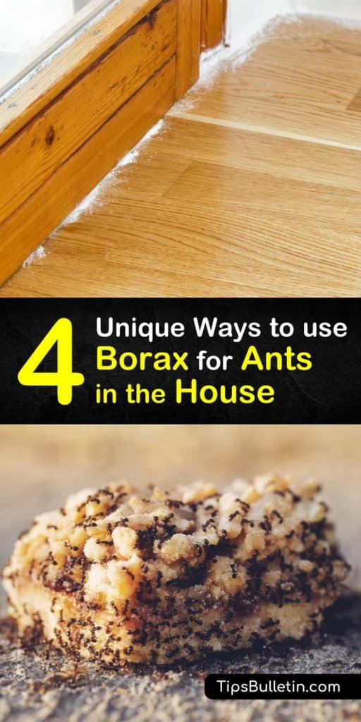 Find out how to get rid of an infestation of sugar ants, carpenter ants, or fire ants using Borax. Lay ant bait made of peanut butter or sugar and Borax near ant trails so that ants will carry the ant killer back to their nest, eliminating the ant problem. #ants #Borax #antkiller