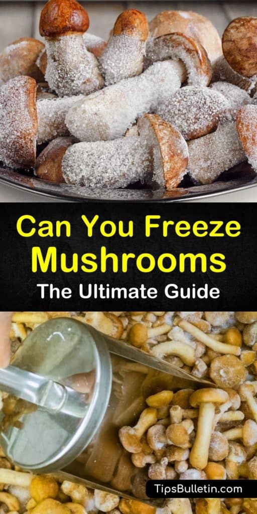 Can you freeze mushrooms? It’s easy to freeze mushrooms with and without cooking them first and keep them in the freezer for up to six months.