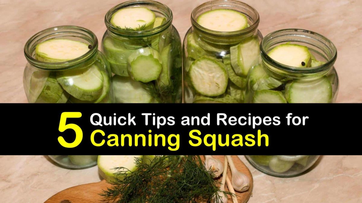 5 Quick Tips and Recipes for Canning Squash