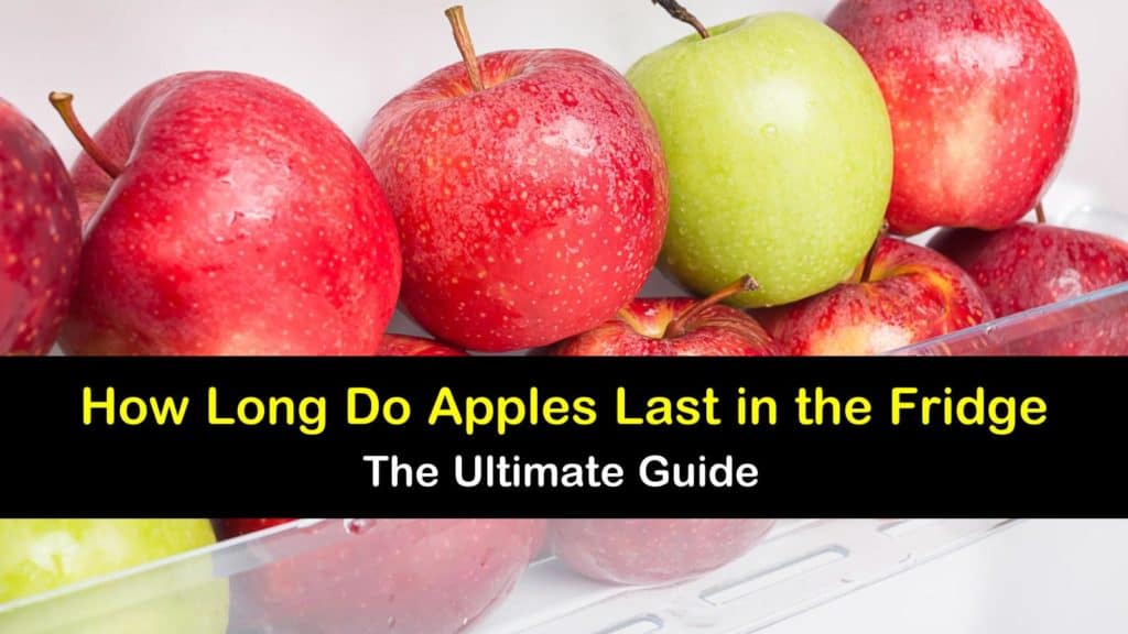 How Long do Apples Last in the Fridge titleimg1
