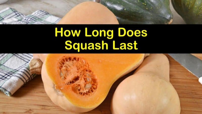 How Long Does Squash Last