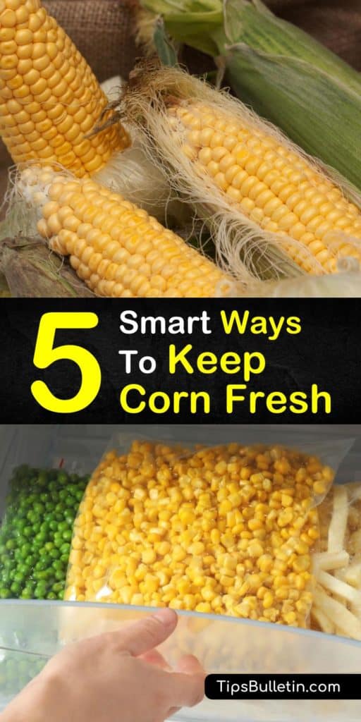Enjoy the taste of sweet corn long after the season is over. Blanching fresh corn and freezing it in freezer bags, you have frozen corn at the ready. You don’t have to freeze corn after you blanch it to store it, as canning is another storage method. #keepcornfresh #keep #corn #fresh