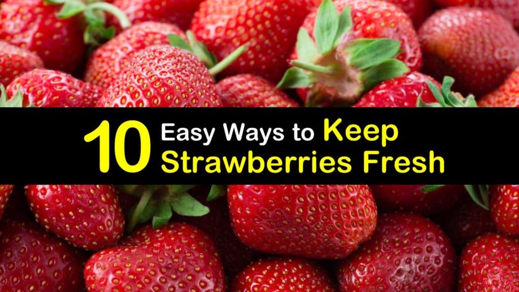 How to Keep Strawberries Fresh titleimg1