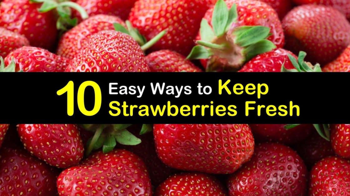 10 Easy Ways to Keep Strawberries Fresh
