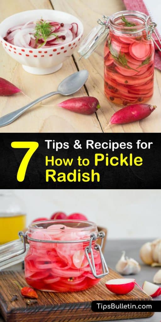 Bring some tang to your life with these quick pickled radishes with peppercorns, veggies, and white vinegar or apple cider vinegar. Learn how to pickle radish and test out a new radish recipe to use it as a condiment on tacos, burgers, and more of your favorite foods. #howto #pickle #radish