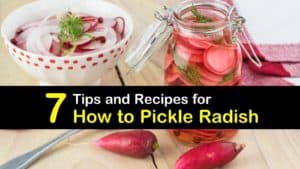 How to Pickle Radish titleimg1