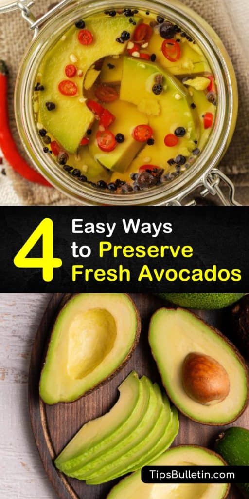 Discover numerous ways to preserve avocados. Store fresh avocados at room temperature; once ripe, store in the fridge. Brush avocado halves with lime juice to prevent discoloration. Turn frozen avocados into smoothies, guacamole, and more. #preserveavocados #avocado #preserving