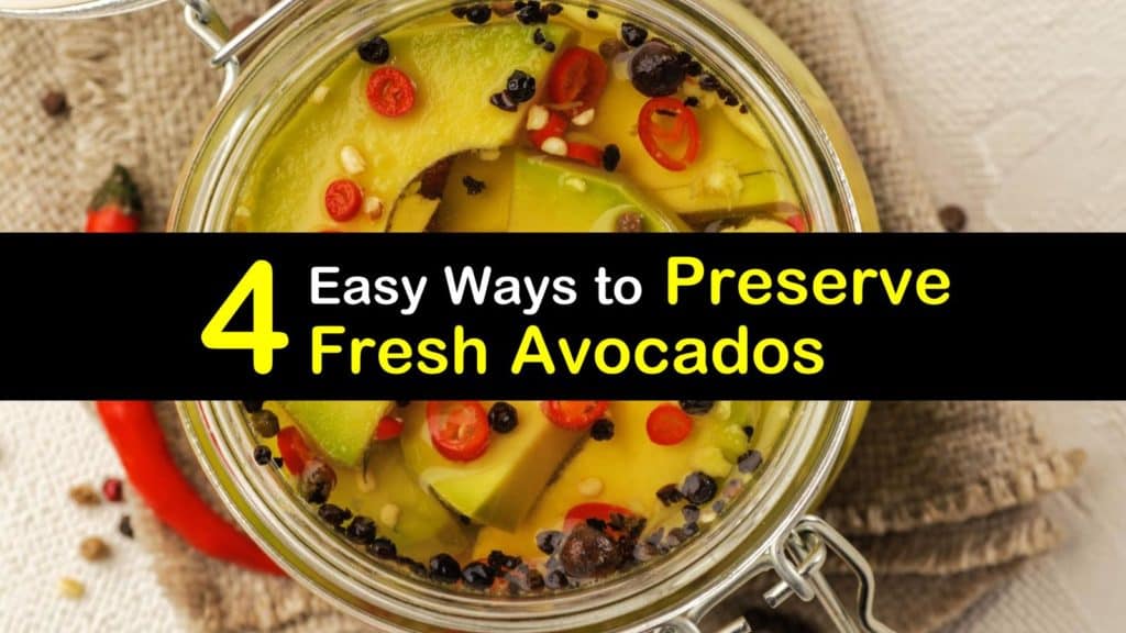 How to Preserve Avocados titleimg1