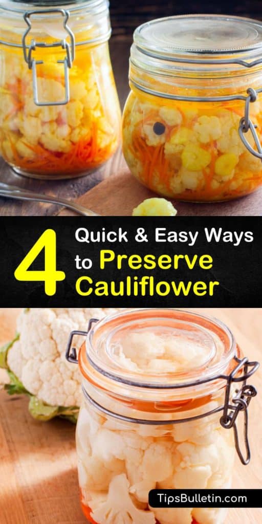 Come let us show you the different ways to preserve fresh cauliflower florets to use as a substitute in your next side dish. Blanching is used when you freeze cauliflower in freezer bags, but it's not used when pickling or fermenting.#preservecauliflower #storecauliflower #cauliflower