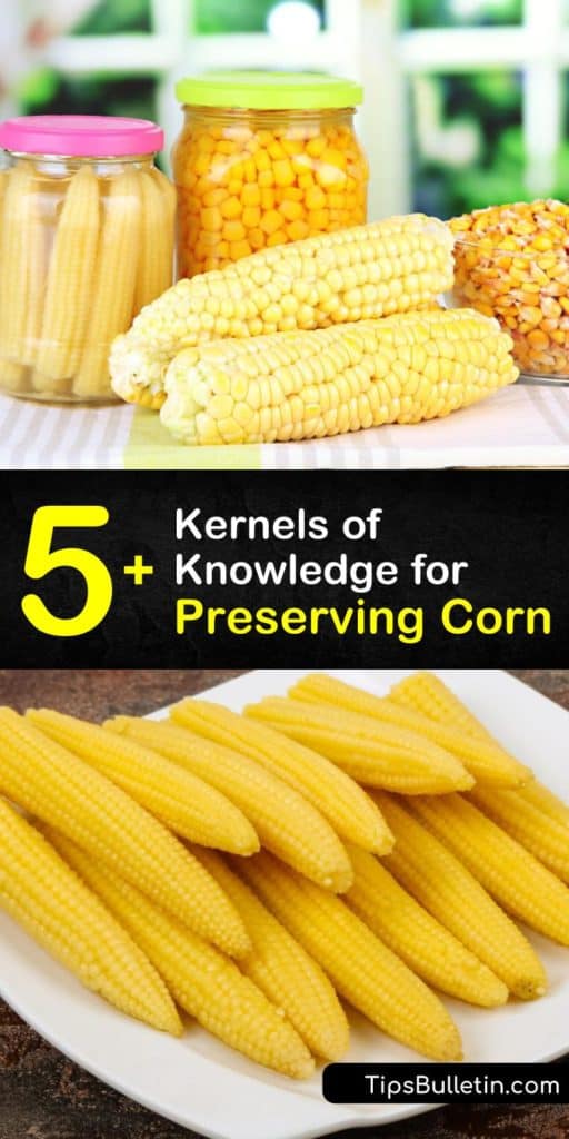 Take your dishes up a notch by adding fresh corn to your favorite homemade meals. Learn how easy it is to store ears of corn by blanching corn in boiling water, cutting corn kernels off the cob, canning corn, freezing corn, and even storing it in freezer bags. #howto #preserve #corn
