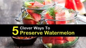 How to Preserve Watermelon titleimg1