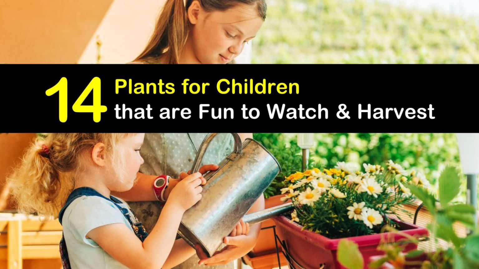 14 Easy Plants for Children that are Fun to Watch & Harvest