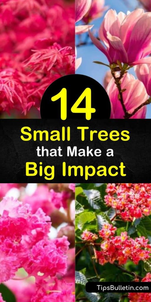 Utilize as much space possible in tiny yards by planting a small tree like the crabapple, crape myrtle, redbud, or other flowering trees. Small trees have the loveliest blooms in early spring and vibrant fall color that turns your front yard into the prettiest on the block. #small #trees #yard