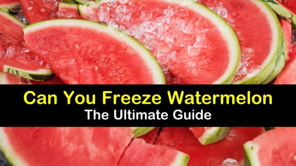 Can You Freeze Watermelon titleimg1