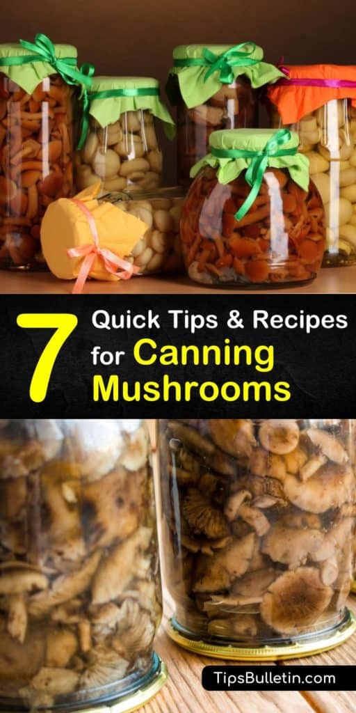 When it comes to pickling or canning mushrooms half-pint and pint jars work the best. Before preserving store-bought or wild mushrooms, wash in cold water, drain, and then trim the stems flush with the caps. #mushrooms #canning #pickling