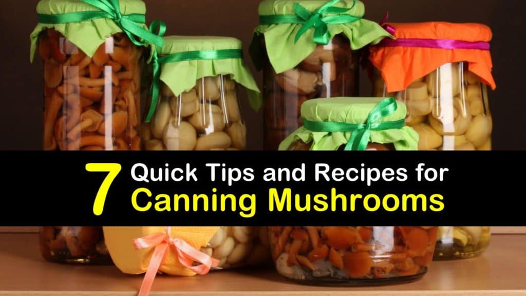 Canning Mushrooms titleimg1